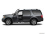   
                         Driver Side Profile at Signature Ford of Perry